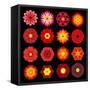 Big Collection of Various Red Pattern Flowers-tr3gi-Framed Stretched Canvas