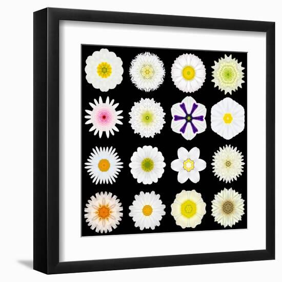 Big Collection of Various White Pattern Flowers-tr3gi-Framed Art Print