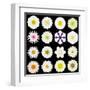 Big Collection of Various White Pattern Flowers-tr3gi-Framed Art Print