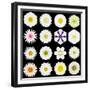 Big Collection of Various White Pattern Flowers-tr3gi-Framed Premium Giclee Print