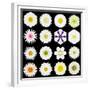 Big Collection of Various White Pattern Flowers-tr3gi-Framed Premium Giclee Print