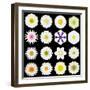 Big Collection of Various White Pattern Flowers-tr3gi-Framed Art Print