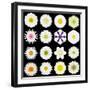 Big Collection of Various White Pattern Flowers-tr3gi-Framed Art Print