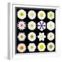 Big Collection of Various White Pattern Flowers-tr3gi-Framed Art Print