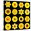 Big Collection of Various Yellow Pattern Flowers-tr3gi-Stretched Canvas