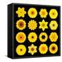 Big Collection of Various Yellow Pattern Flowers-tr3gi-Framed Stretched Canvas