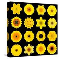 Big Collection of Various Yellow Pattern Flowers-tr3gi-Stretched Canvas