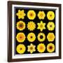 Big Collection of Various Yellow Pattern Flowers-tr3gi-Framed Art Print