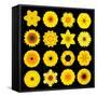 Big Collection of Various Yellow Pattern Flowers-tr3gi-Framed Stretched Canvas