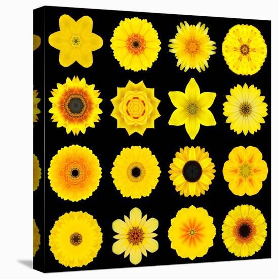 Big Collection of Various Yellow Pattern Flowers-tr3gi-Stretched Canvas