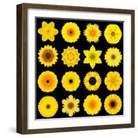 Big Collection of Various Yellow Pattern Flowers-tr3gi-Framed Art Print