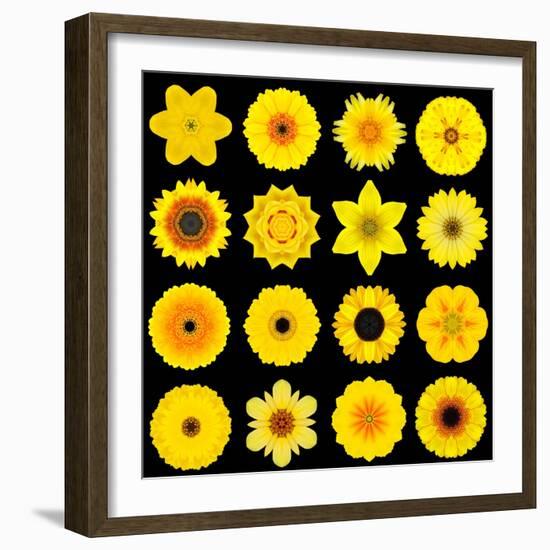 Big Collection of Various Yellow Pattern Flowers-tr3gi-Framed Art Print