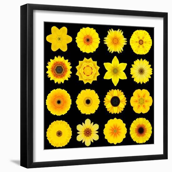 Big Collection of Various Yellow Pattern Flowers-tr3gi-Framed Art Print