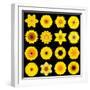 Big Collection of Various Yellow Pattern Flowers-tr3gi-Framed Art Print