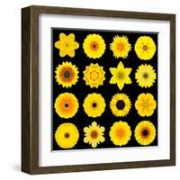 Big Collection of Various Yellow Pattern Flowers-tr3gi-Framed Art Print