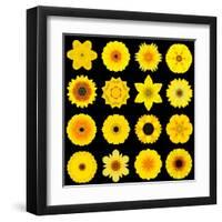 Big Collection of Various Yellow Pattern Flowers-tr3gi-Framed Art Print