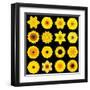 Big Collection of Various Yellow Pattern Flowers-tr3gi-Framed Art Print