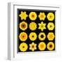 Big Collection of Various Yellow Pattern Flowers-tr3gi-Framed Art Print