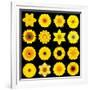 Big Collection of Various Yellow Pattern Flowers-tr3gi-Framed Art Print