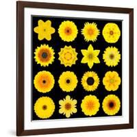 Big Collection of Various Yellow Pattern Flowers-tr3gi-Framed Art Print