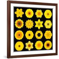 Big Collection of Various Yellow Pattern Flowers-tr3gi-Framed Art Print