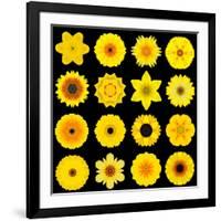 Big Collection of Various Yellow Pattern Flowers-tr3gi-Framed Art Print