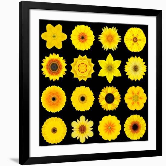 Big Collection of Various Yellow Pattern Flowers-tr3gi-Framed Art Print