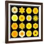 Big Collection of Various Yellow Pattern Flowers-tr3gi-Framed Art Print