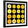 Big Collection of Various Yellow Pattern Flowers-tr3gi-Framed Art Print