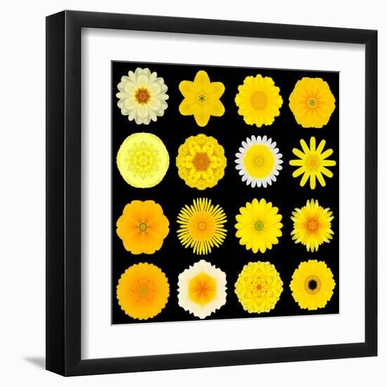 Big Collection of Various Yellow Pattern Flowers-tr3gi-Framed Art Print