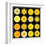 Big Collection of Various Yellow Pattern Flowers-tr3gi-Framed Art Print