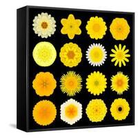Big Collection of Various Yellow Pattern Flowers-tr3gi-Framed Stretched Canvas