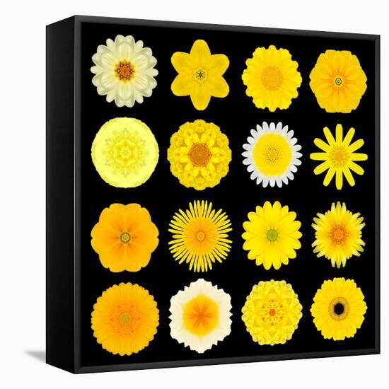 Big Collection of Various Yellow Pattern Flowers-tr3gi-Framed Stretched Canvas