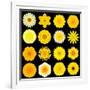 Big Collection of Various Yellow Pattern Flowers-tr3gi-Framed Art Print