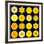 Big Collection of Various Yellow Pattern Flowers-tr3gi-Framed Art Print