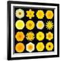 Big Collection of Various Yellow Pattern Flowers-tr3gi-Framed Art Print