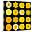 Big Collection of Various Yellow Pattern Flowers-tr3gi-Stretched Canvas