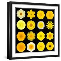 Big Collection of Various Yellow Pattern Flowers-tr3gi-Framed Art Print