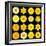 Big Collection of Various Yellow Pattern Flowers-tr3gi-Framed Art Print