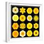 Big Collection of Various Yellow Pattern Flowers-tr3gi-Framed Art Print