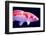 Big Colorful Koi Carp-yuyang-Framed Photographic Print