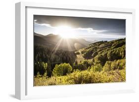 Big Cottonwood Canyon, Utah-Lindsay Daniels-Framed Photographic Print