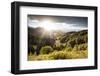 Big Cottonwood Canyon, Utah-Lindsay Daniels-Framed Photographic Print