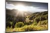 Big Cottonwood Canyon, Utah-Lindsay Daniels-Mounted Photographic Print