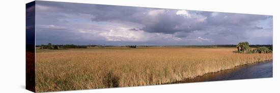 Big Cypress National Preserve along Tamiami Trail Everglades National Park, Florida, USA-null-Stretched Canvas