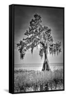 Big Cypress-Dennis Goodman-Framed Stretched Canvas