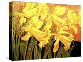 Big Daffodils-John Newcomb-Stretched Canvas