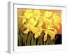 Big Daffodils-John Newcomb-Framed Giclee Print