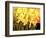 Big Daffodils-John Newcomb-Framed Giclee Print