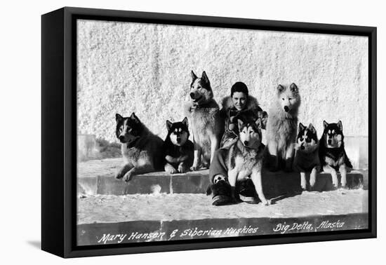 Big Delta, Alaska - Mary Hansen and Siberian Huskies-Lantern Press-Framed Stretched Canvas